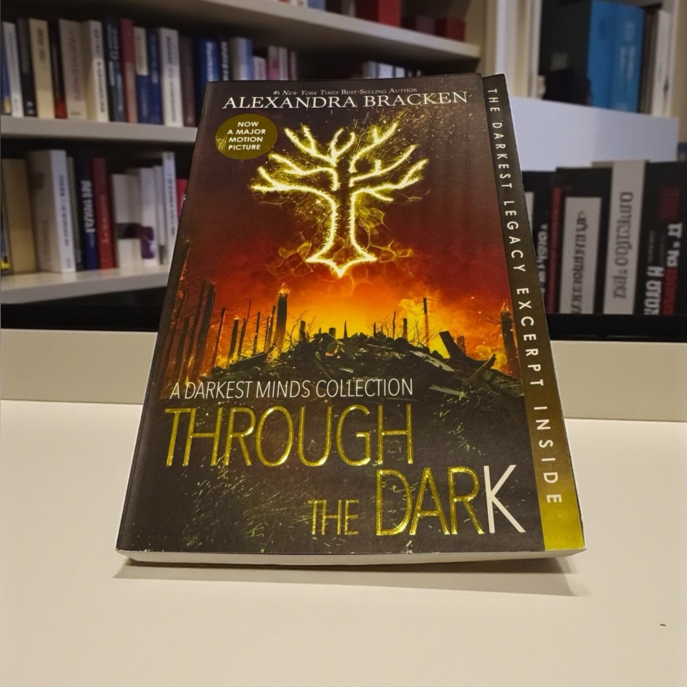 Through the Dark by Alexandra Bracken Paperback Book